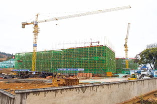 三馆合建项目最新进展披露 预计今年10月全面竣工